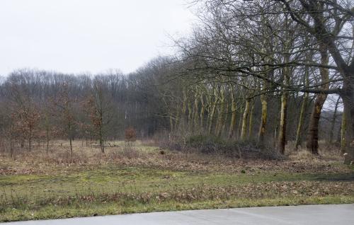 Situatie 10 maart 2018