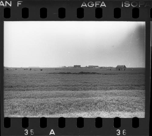 Negatief 6-36 